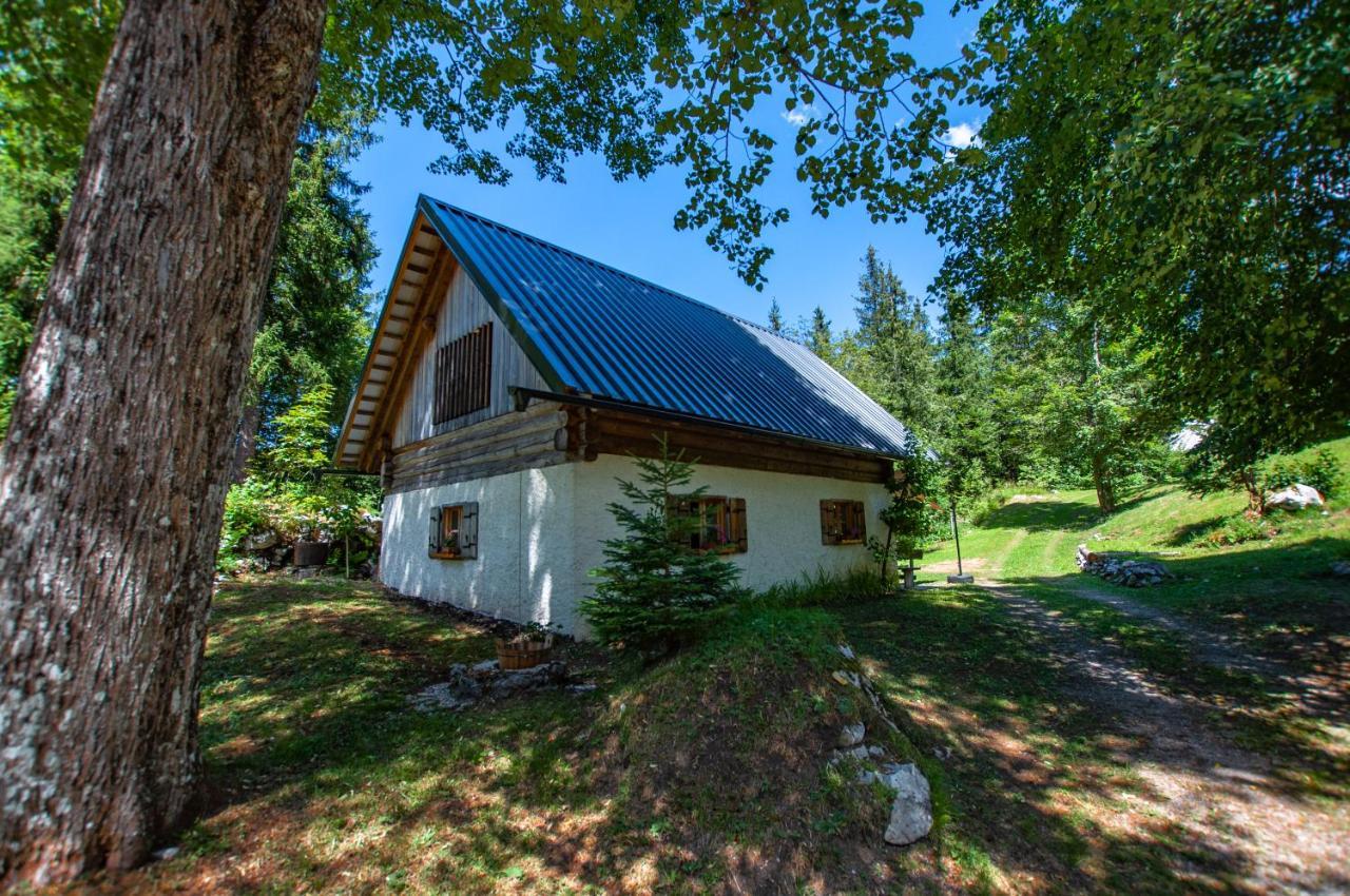 Вілла Boutique House Vresje Бохінська Бістріца Екстер'єр фото