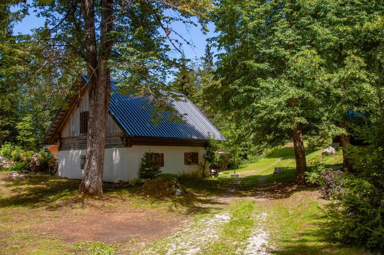 Вілла Boutique House Vresje Бохінська Бістріца Екстер'єр фото